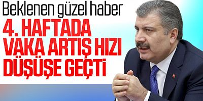Korona Vakalarının Artış Hızı Düşüşe Geçti