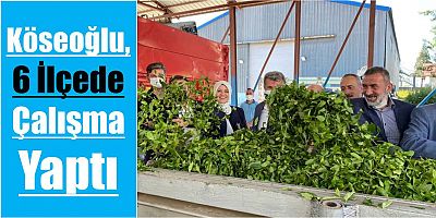 Köseoğlu, 6 İlçede Çalışma Yaptı