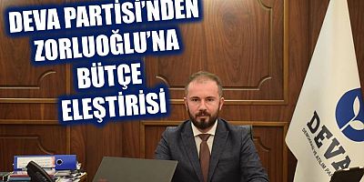 Kubilay Çiçek'ten Zorluoğlu'na Bütçe Tepkisi