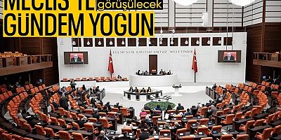 Meclis'te yeni haftanın gündemi yoğun