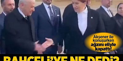 Meral Akşener'le Devlet Bahçeli ne konuştu!