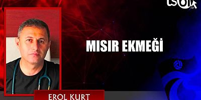 MISIR EKMEĞİ