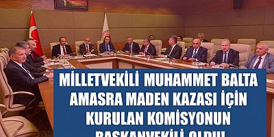 Muhammet Balta Komisyona Başkanvekili Oldu!