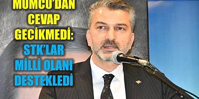 Mumcu: STK’lar Milli Olanı Destekledi