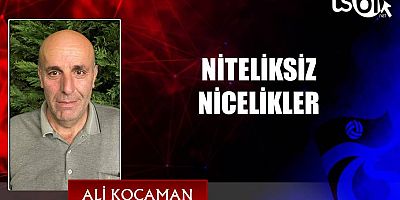 NİTELİKSİZ NİCELİKLER