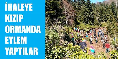 Orman İhalesine Karşı Eylem Yaptılar 
