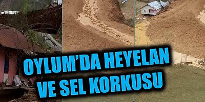 Oylum Mahallesi Diken Üstünde