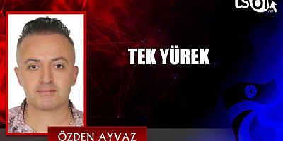 Özden Ayvaz'ın maç yazısı...