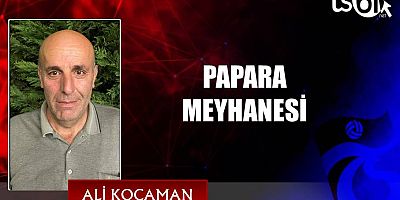 PAPARA MEYHANESİ