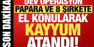 Papara’ya kayyum atandı!