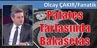 olcay çakır