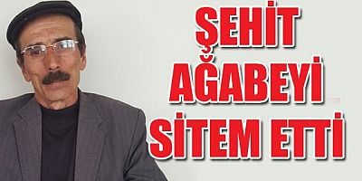 Şehit Ağabeyi Sitem Etti