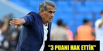 Şenol Güneş, 