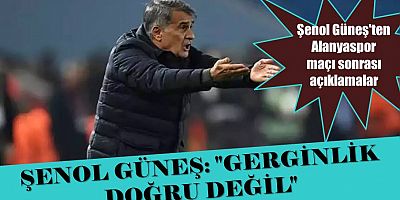 Şenol Güneş: 