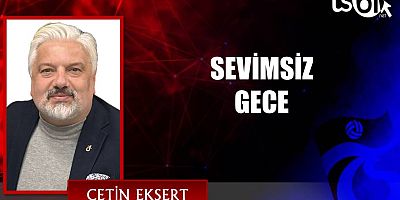 SEVİMSİZ GECE