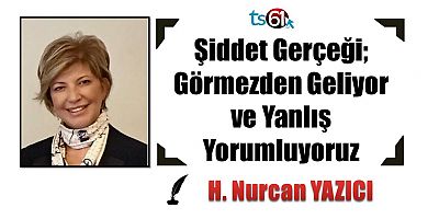 Şiddet Gerçeği; Görmezden Geliyor ve Yanlış Yorumluyoruz
