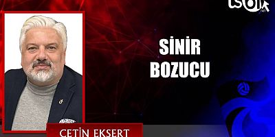 SİNİR BOZUCU