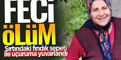 Sırtındaki fındık sepeti ile uçuruma yuvarlanarak hayatını kaybetti