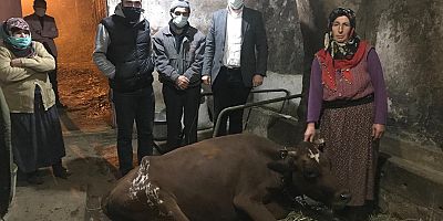 TDF Emine Teyzenin Gözyaşlarına Duyarsız Kalmadı