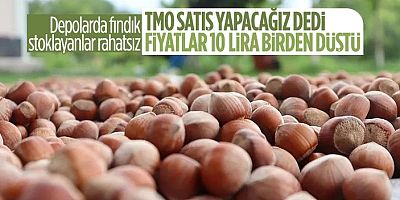 Toprak Mahsulleri Ofisi fındık fiyatını aşağıya çekti