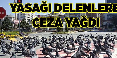Trabzon'da Yasağı Delenlere Ceza Yağdı