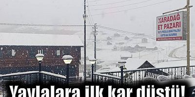 Trabzon’un yaylalarına ilk kar düştü!
