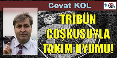 cevat kol