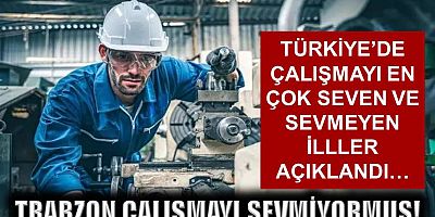 Türkiye'de çalışmayı en seven ve sevmeyen iller hangileri?