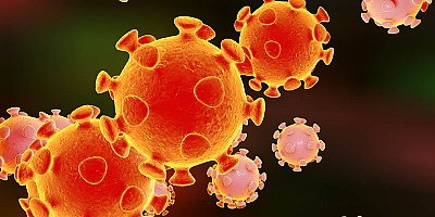 Türkiye'deki İlk Koronavirüs Vakası ABD Kaynaklı Çıktı