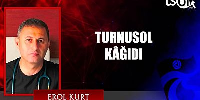 TURNUSOL KÂĞIDI