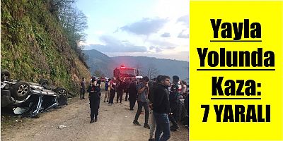 Vakfıkebir’de Kaza: 7 Yaralı