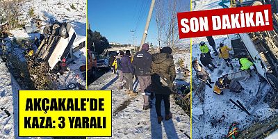 Yoldan Çıkıp Sahile Uçtu: 3 Yaralı