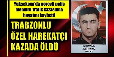 Yüksekova'da görevli polis memuru trafik kazasında öldü